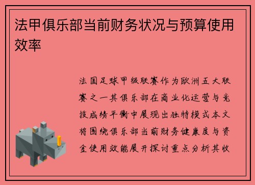 法甲俱乐部当前财务状况与预算使用效率